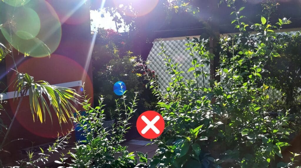 Prześwietlone zdjęcia - eksperymentowanie z AI na bazie prześwietlonych zdjęć, może prowadzić do kiepskiej jakości generacji.