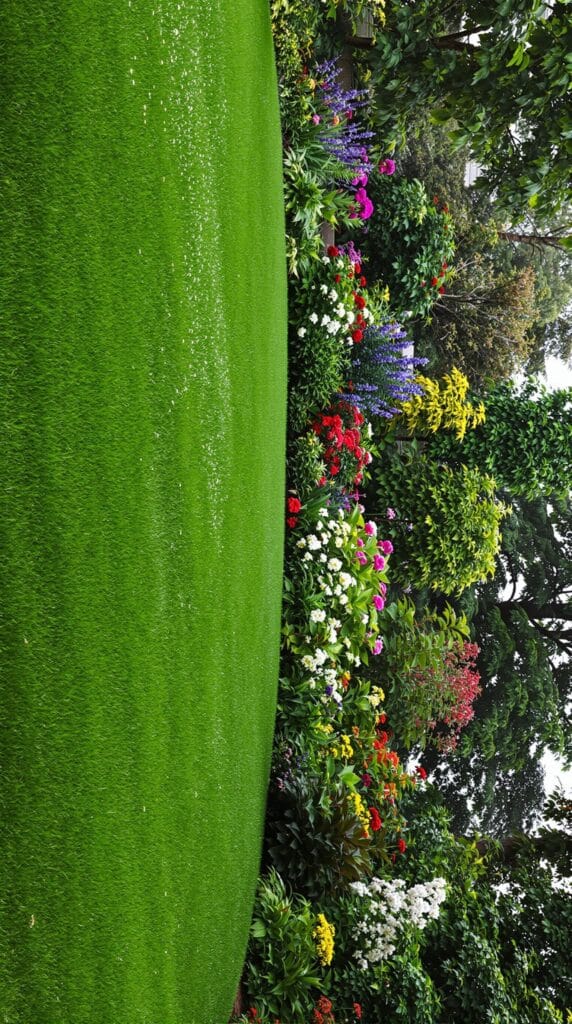 Jak zmienić orientację zdjęcia w Ogrovision (Ogród AI)?